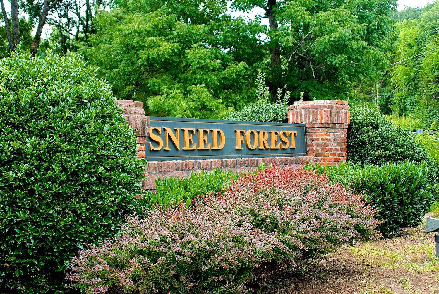 Sneed ForestFranklin, TN Homes for Sale
